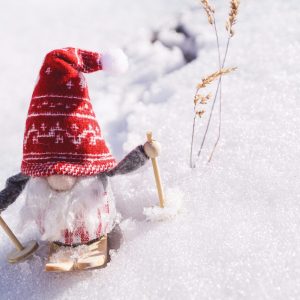 Bastones Gama-Infantil-alquilerskisol.com